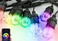 Voice Control Wireless Colorful LED String Light WIFI Smart Home